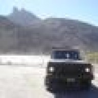 Powervago patagonico