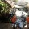 juan84V8
